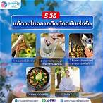 กองสลากพลัส วิธีซื้อ